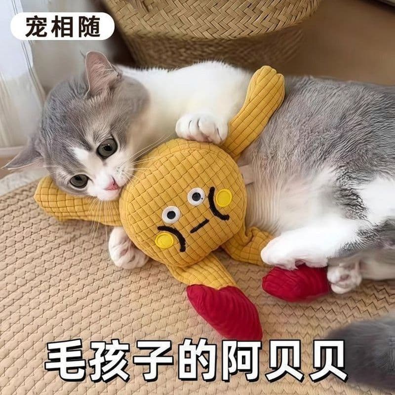 Gato suprimentos para animais de estimação filhote de cachorro brinquedos cão voz filhote de cachorro aliviar o tédio Mo