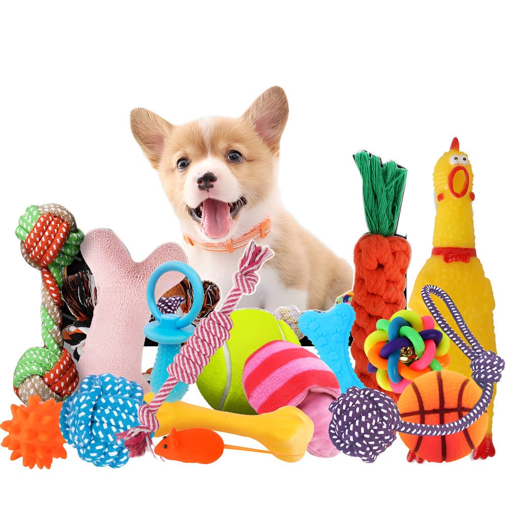 [Ideal para Treinamento] Paquete de 10 Brinquedos para Cães/Conjunto/Durável/Brinquedos Masticáveis para Cachorros