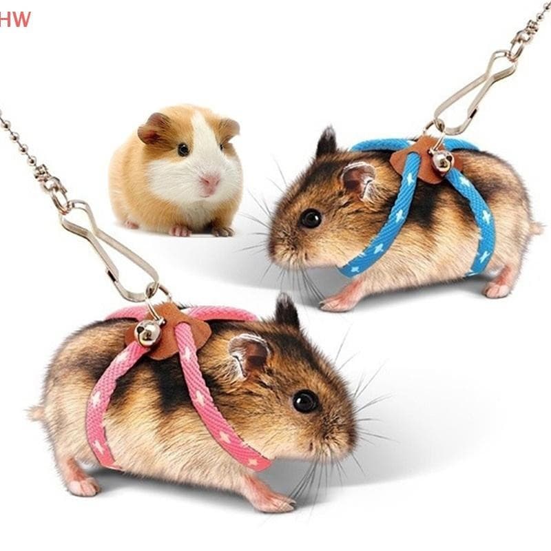 Conjunto de coleira e guia ajustável, adequado para hamsters pequenos, equipado com um sino e guia, adequado para furões
