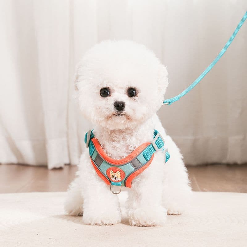 Coleira e guia para cães de porte pequeno e extra pequeno, coleira tipo colete para passear cães, ideal para Teddy, Bull
