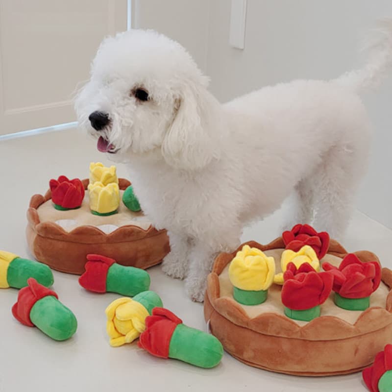 Ins estilo tulipa comida tibetana conjunto de brinquedos Pet BB latindo cão brinquedo educativo auto-feliz voz brinquedo