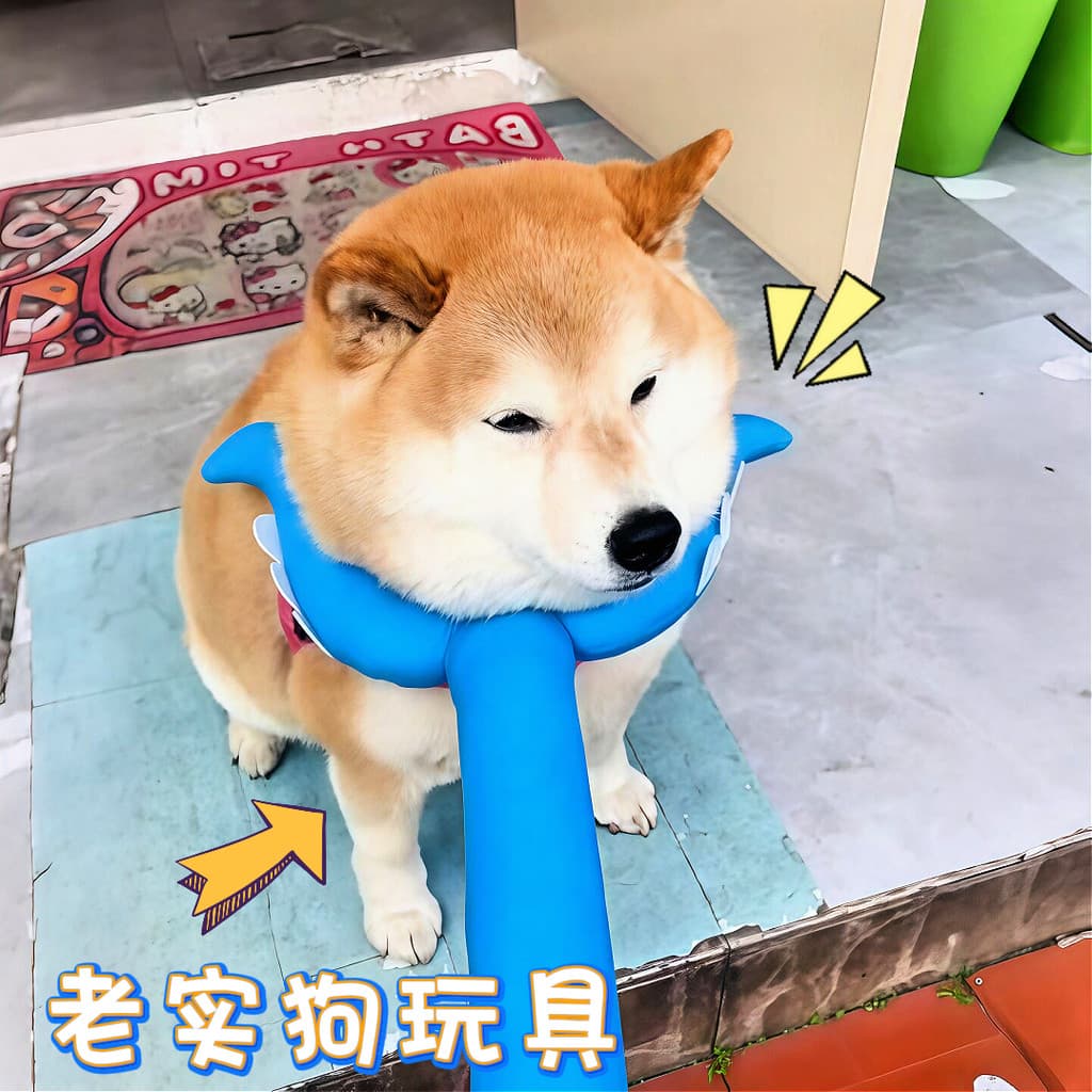 [Brinquedo para cachorro Honest!]Negociável vara cães mastigar molares aliviar o tédio brinquedos auto-felizes provocand