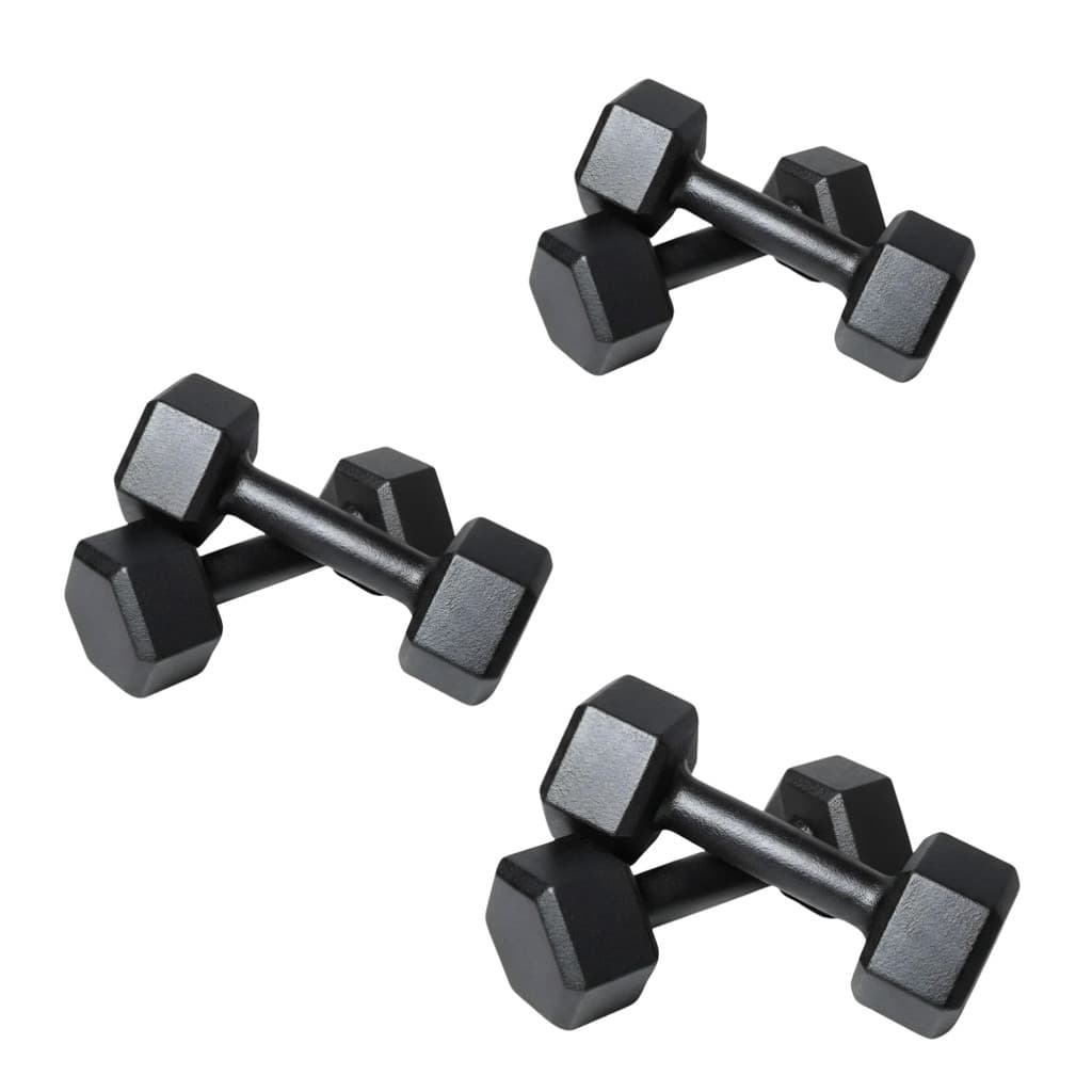 Kit 30kg Halteres Sextavados Pintados Pares 4kg 5kg 6kg Musculação Academia Treino Funcional Peso Livre Fitness