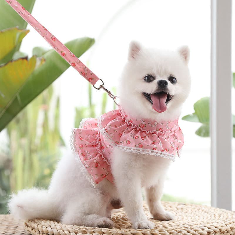 Coleira e guia para animais de estimação com estampa floral, conjunto de coleira para cães e gatos, ideal para passeios 