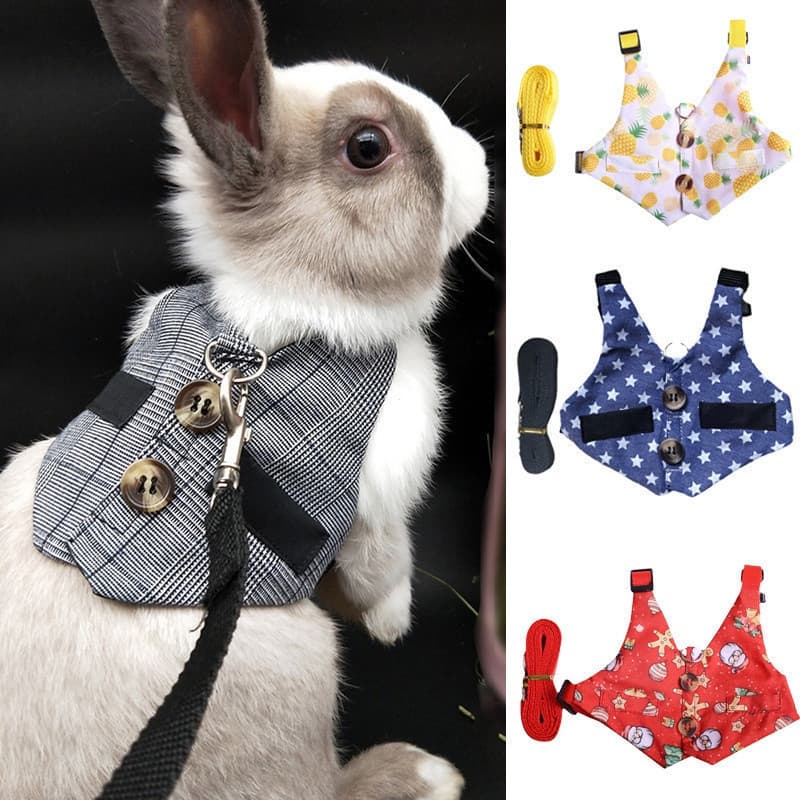 Conjunto de Coleira e Guia para Coelhos, Coleiras para Animais de Estimação ao Ar Livre para Pequenos Animais, Coelhos, 