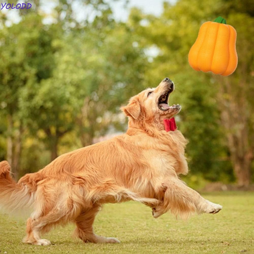 Brinquedo De Bola De Abóboras Para Cães Yoloqx , Cachorro De Abóbora De Halloween Com Som TPR , Brinquedos De Mastigar L