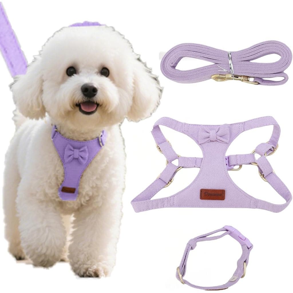 Conjunto de Coleira e Guia para Cães, Coleira sem Puxada com Guia de 1,5m e Fivela de Segurança, Coleira Ajustável para 