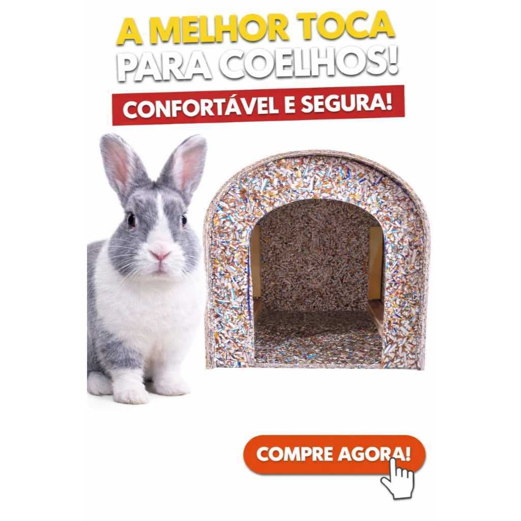 Casinha Toca De Coelho Ecológica Qualidade E Conforto Para Seu Pet