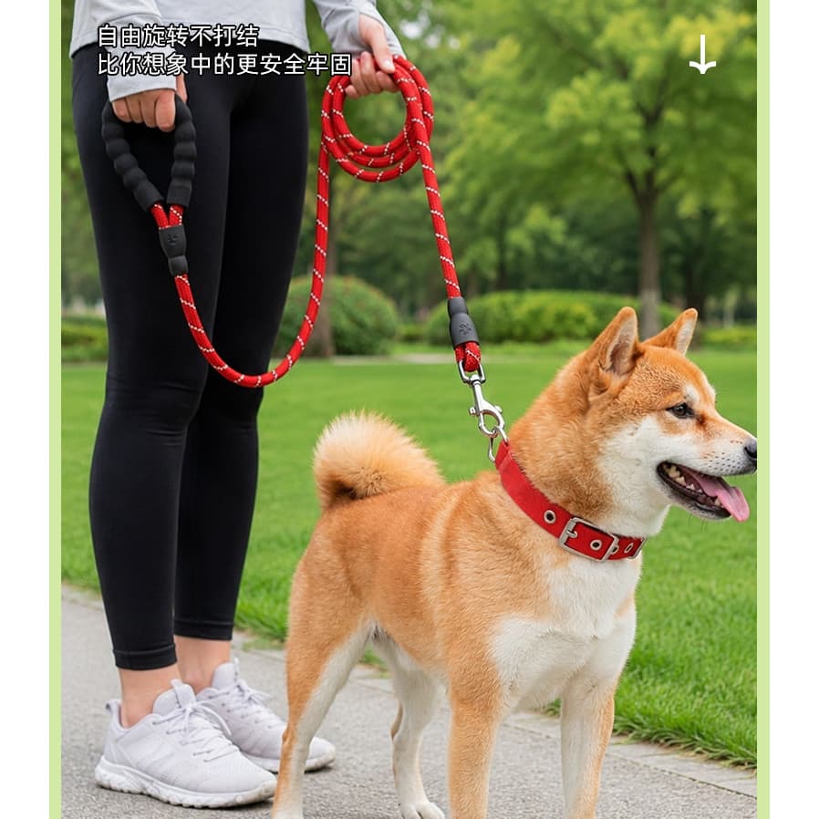 Conjunto de coleira e guia para cães, coleira acolchoada em espuma de nylon, fivela ajustável em liga de zinco, guia com