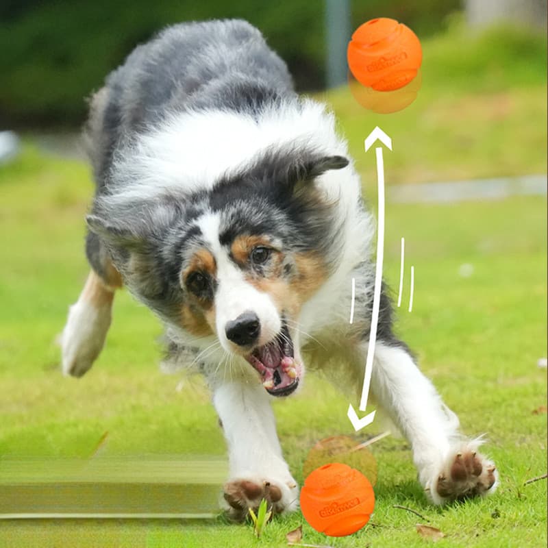 Bola de nó resistente à mordida de cachorro, brinquedo interativo elástico para treinamento de molares, brinquedo para a