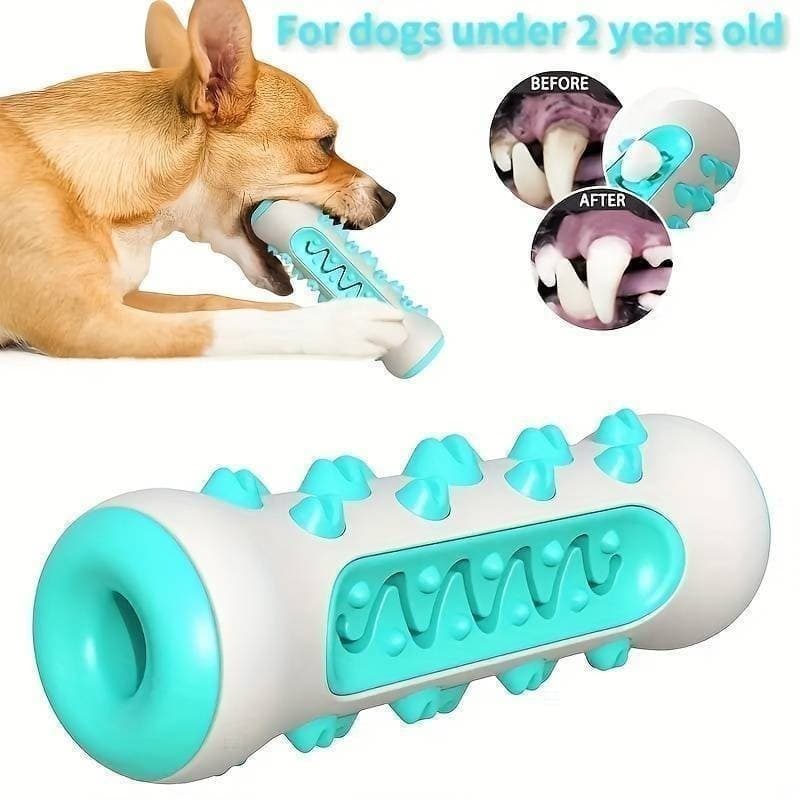 Brinquedo Mordedor para Cachorro Osso 3 em 1 Escova Massageador Dental