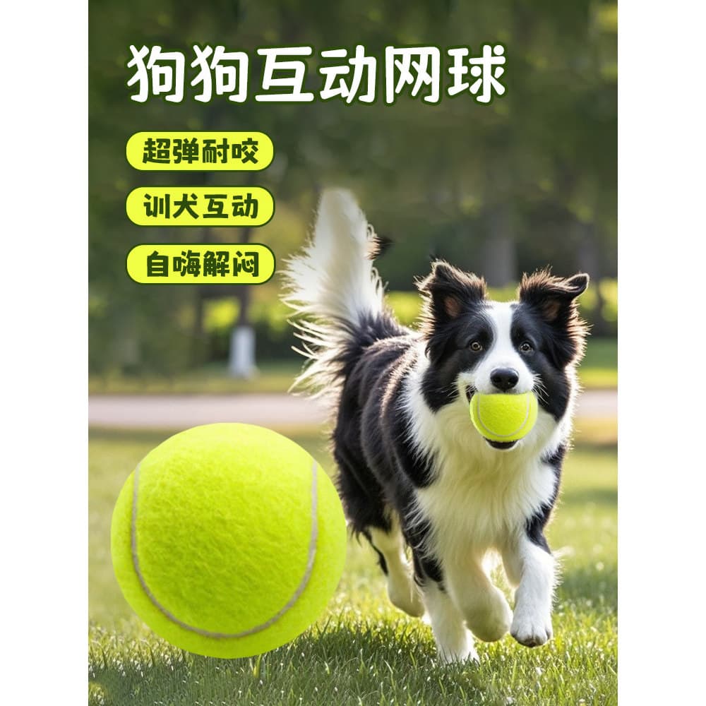 Brinquedo rebote filhote de cachorro Molar cão bola saltitante tênis bola ao ar livre brinquedo para animais de estimaçã