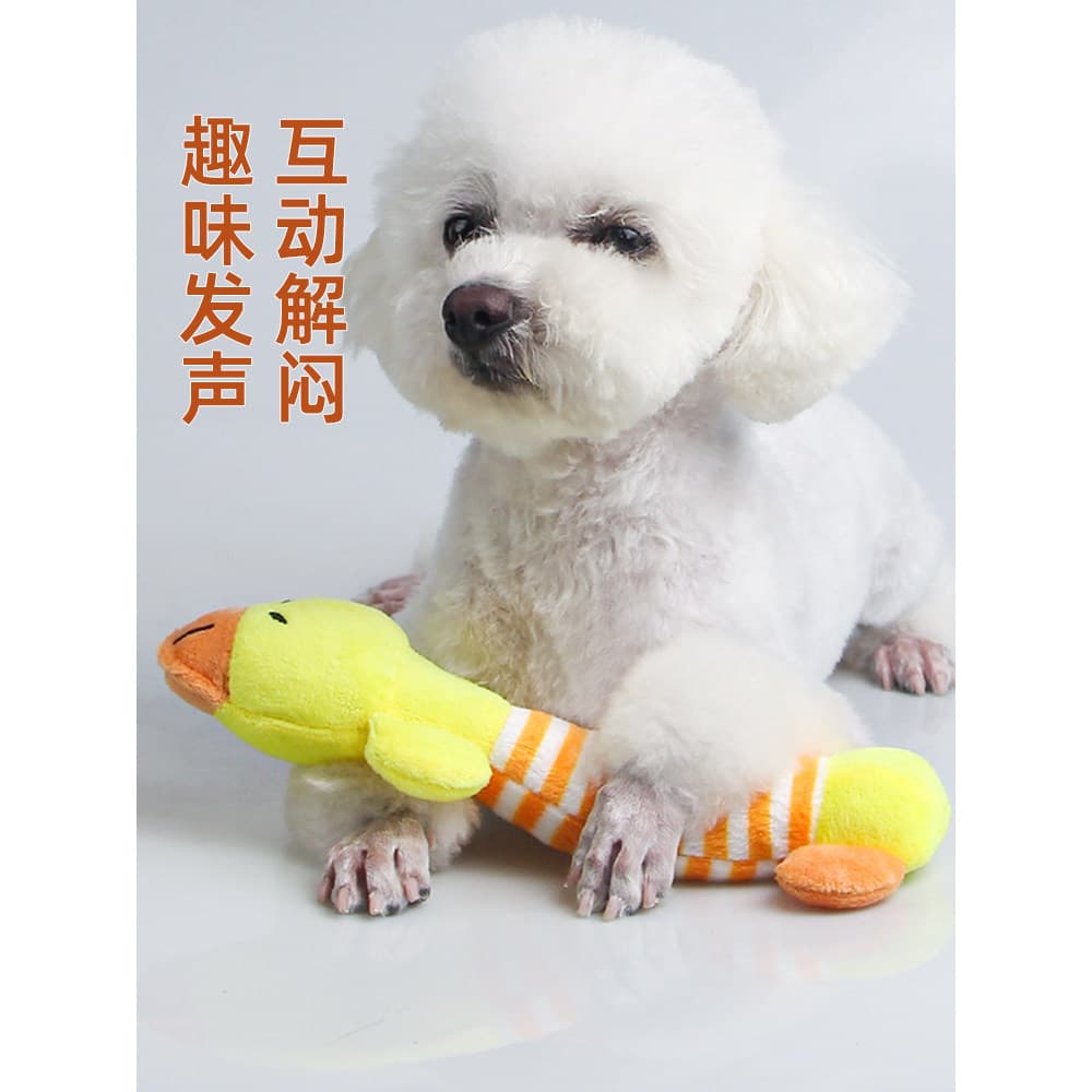 Brinquedo para cachorro resistente à mordida, bastão Molar para cachorro, brinquedo para aliviar o tédio, Bichon Corgi, 