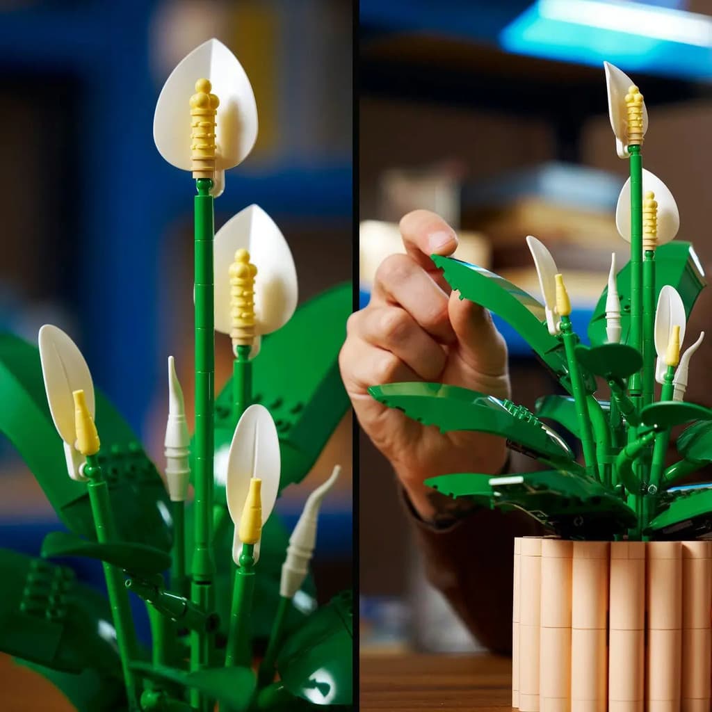 LEGO Botanicals 11504 Lírio da Paz – 474 Peças para Montar, Decorar e Colecionar