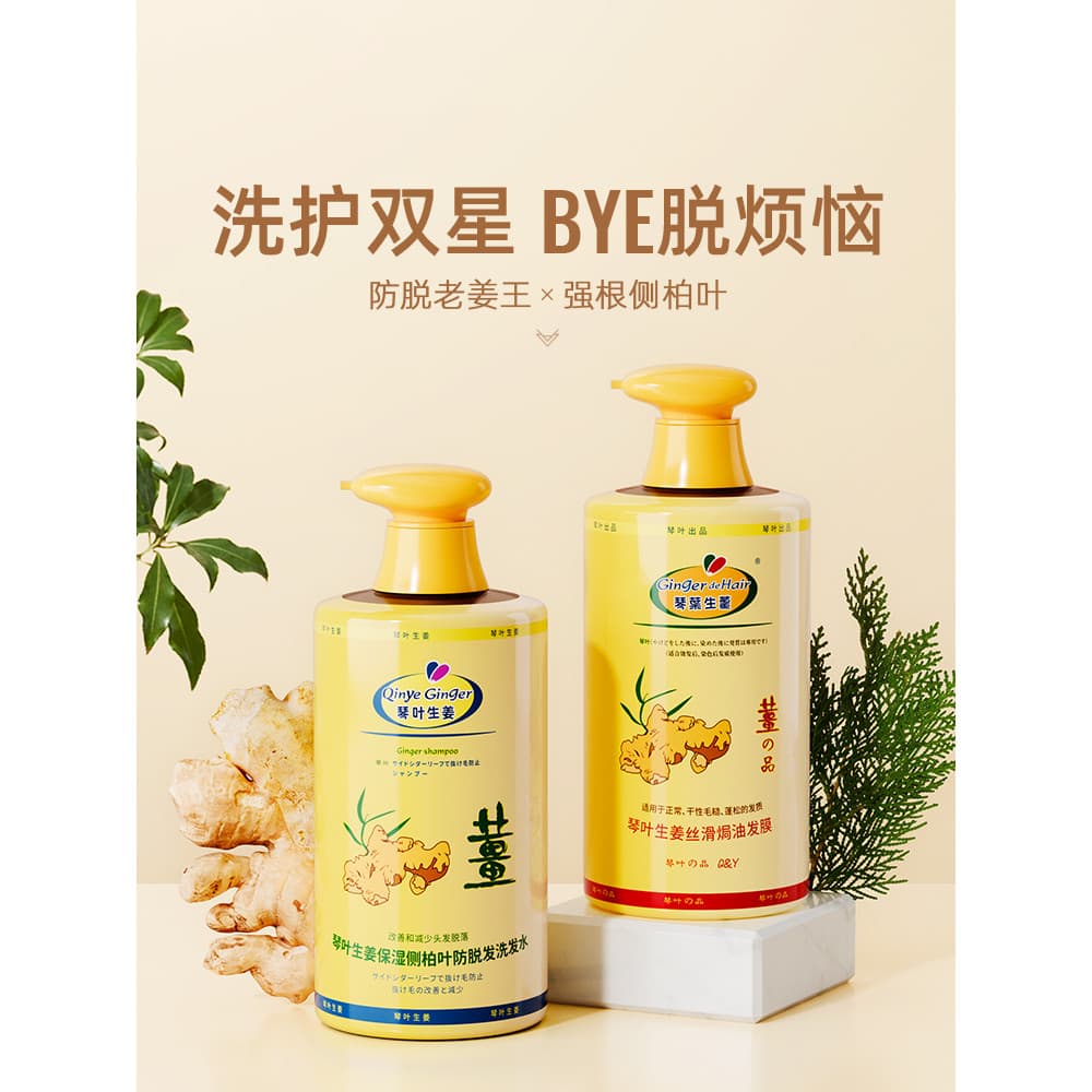Qin folha gengibre anti-perda de cabelo forte raiz manutenção shampoo hidratante shampoo controle de óleo anti-caspa sha