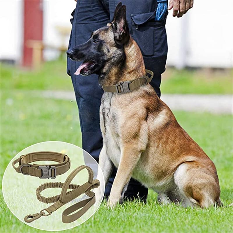 Conjunto de Coleira Tática para Cães com Guia, Coleira Militar Ajustável em Nylon Durável para Cães de Médio e Grande Po