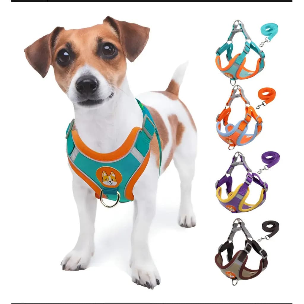 Coleira Peitoral Cachorro Gato Kit Guia + Coleira Colete Pet
