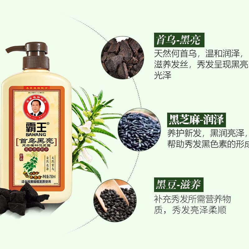 Overlord Polygonum Polygonum Polygonum Polygonum Shampoo Melhorando Shampoo Seco Hidratante Shampoo Macio Homens Mulhere