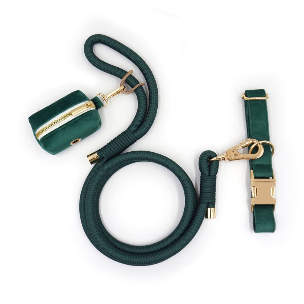 Coleira, guia redonda, cão, animal de estimação, bolsa para animais de estimação, guia, coleira para cão.