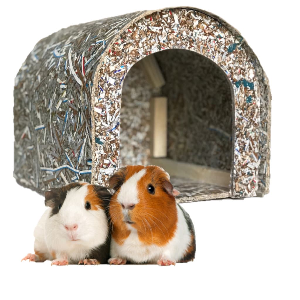 Casinha Para Porquinho Da Índia Ecológica Pequeno Roedores mn cia pet
