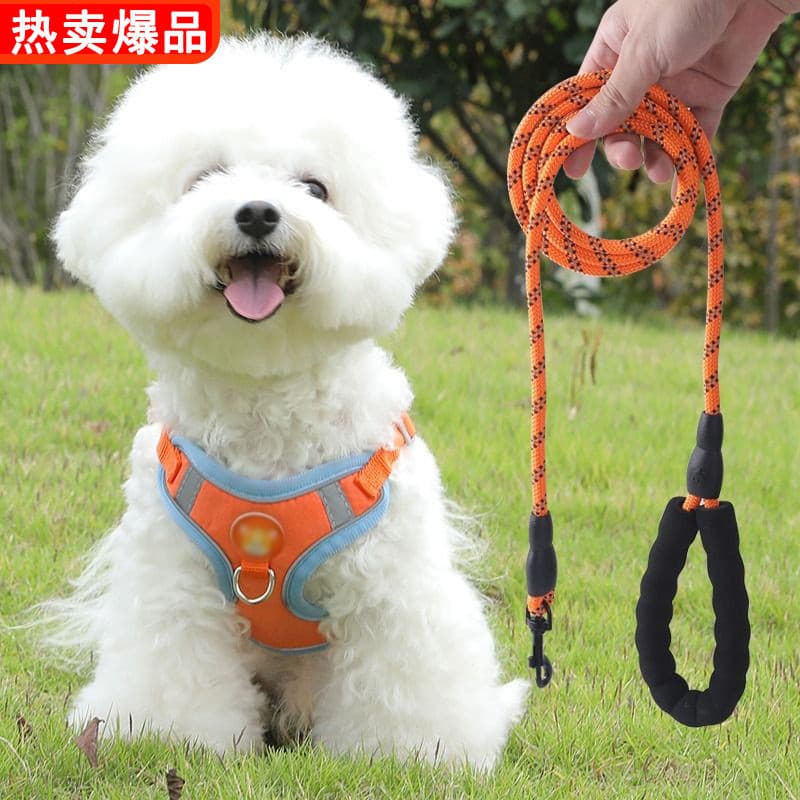Coleira tipo colete para cães de porte médio e pequeno, Teddy, Bichon, Pomeranian, coleira para filhotes, guia para pass