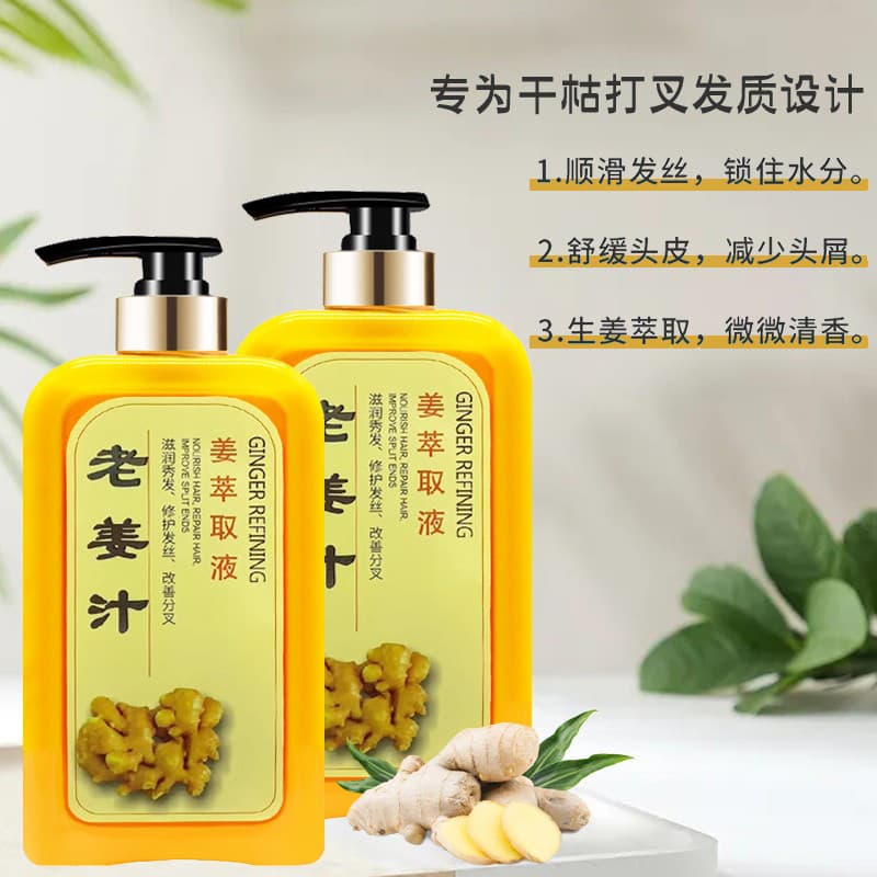 Shampoo de gengibre velho suco de gengibre anti-caspa controle de óleo shampoo couro cabeludo Perm tingimento hidratante