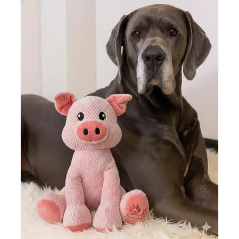 NOZES & amp ; Brinquedo De Cachorro Porco De Pelúcia TOZES | stuffies Para Cães Grandes , Brinquedos De Enriquecimento S