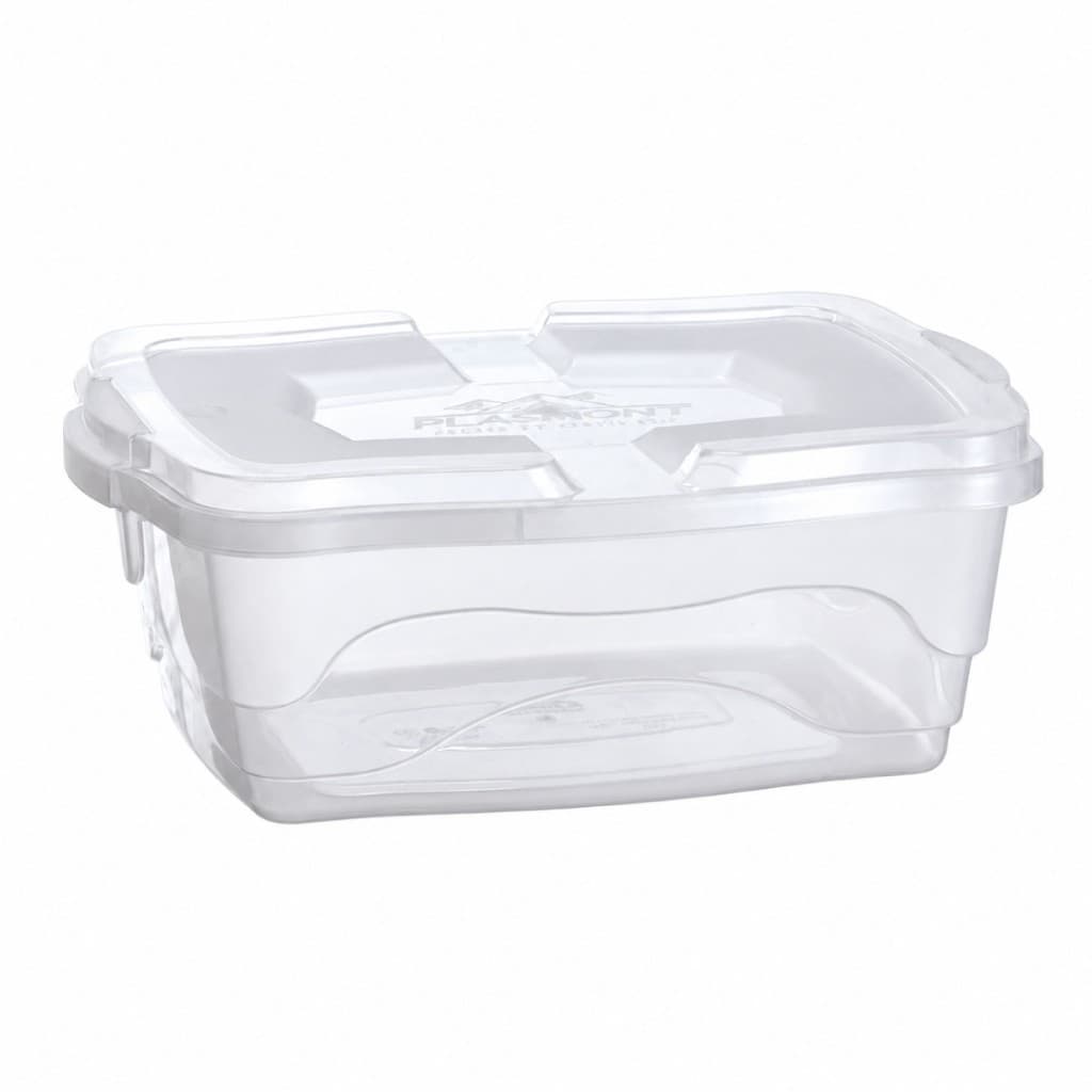 Caixa Organizadora Multiuso 10 Litros Transparente com Tampa Plástica para Roupas Brinquedos Cozinha Banheiro Quarto Arm