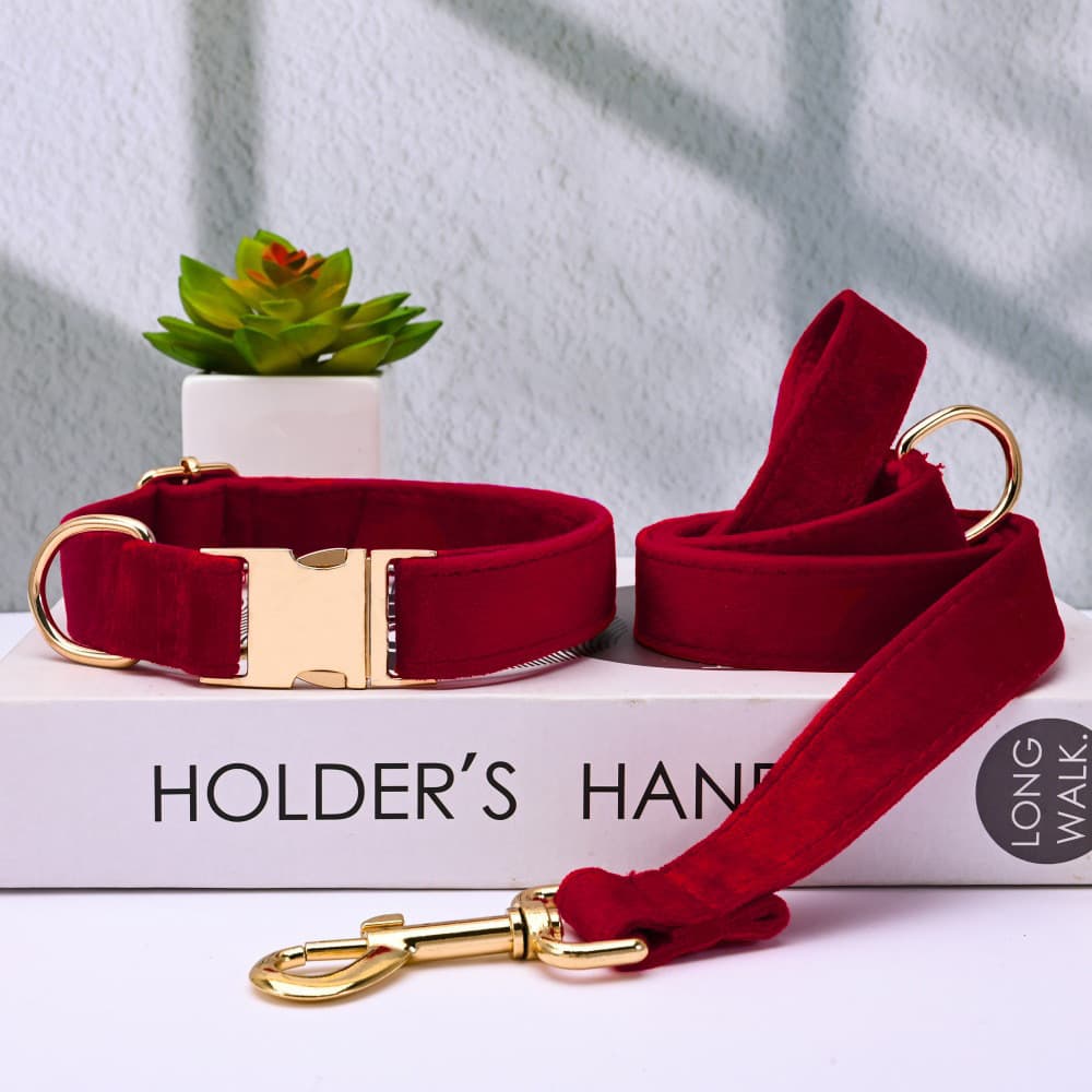 Coleira de Veludo para Cães com Fivela de Metal, Coleira Ajustável para Animais de Estimação e Guia