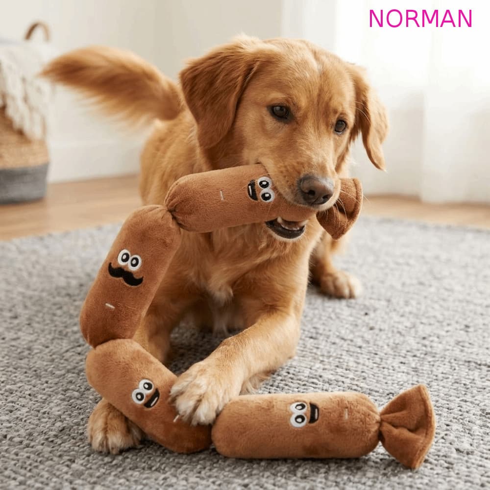 Brinquedo De Som De Salsicha De Pelúcia NORMAN , Criativo De Desenho Animado Para Cachorro Estridente , Brinquedos Inter