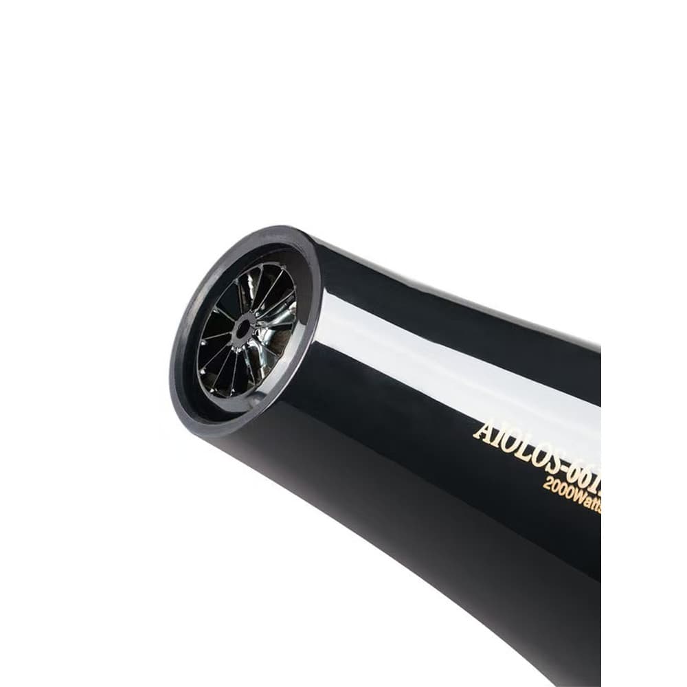 Fengshen profissional AC secador de cabelo secador de cabelo 2.000w alta potência ar quente e frio Motor grande de seis 