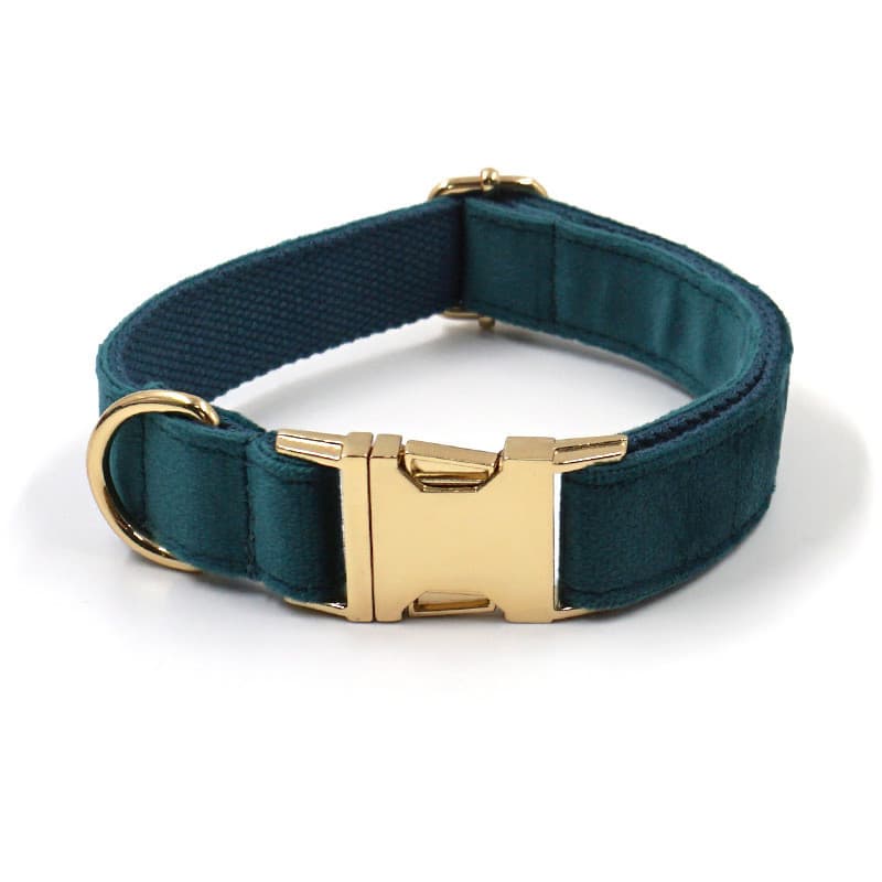 Coleira para animais de estimação, guia para cães, coleira verde, arnês anti-perda, conjunto gravado, corda de tração pa