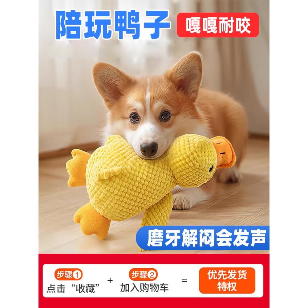Brinquedo para cachorro, ferramenta útil para alívio do tédio, filhote de cachorro, Molar, resistente à mordida, Bichon,