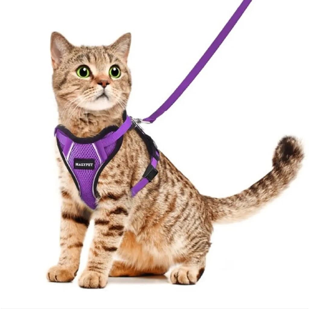 Coleira e Guia Halypet EscapePro para Gatos, com Trava de Segurança, Faixa Refletiva, Acessórios para Gatos, Coleira par