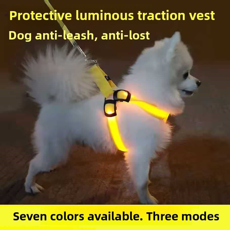 🚚Produto em alta🚚Coleira e guia luminosa para cães, guia LED luminosa para cães de porte médio e grande