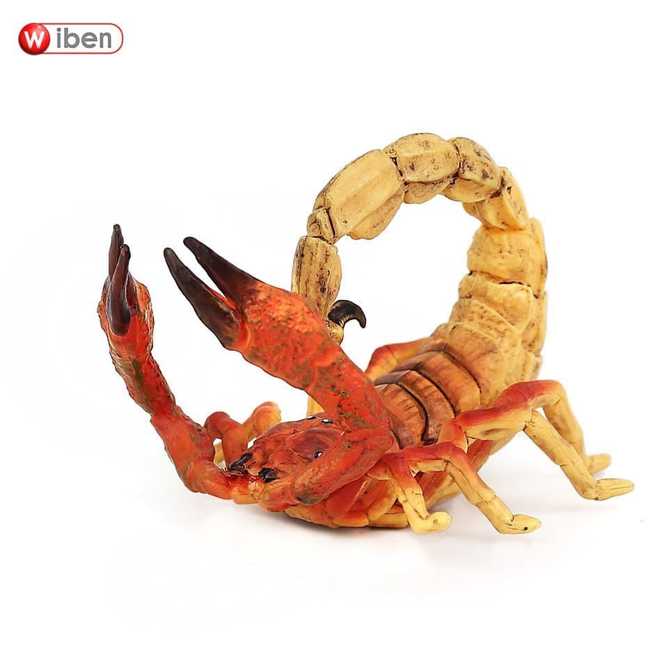 Brinquedo de escorpião de plástico maciço, modelo de animal selvagem realista, brinquedo educativo de artrópodes, presen