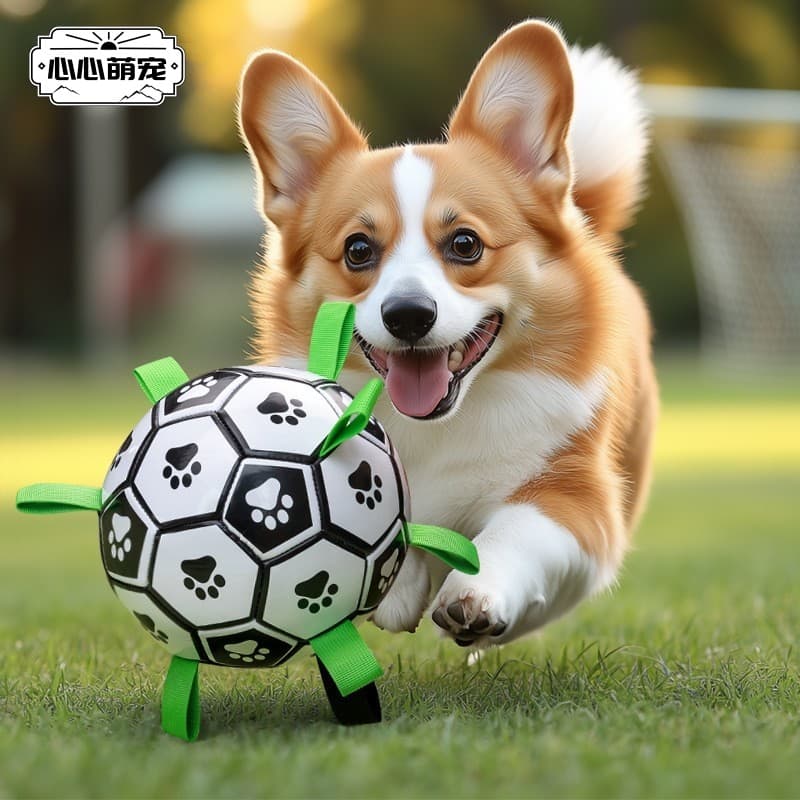 Brinquedo para cachorro, pastor de baile, brinquedo auto-feliz, Labrador, Corgi, treinamento especial, futebol, resisten