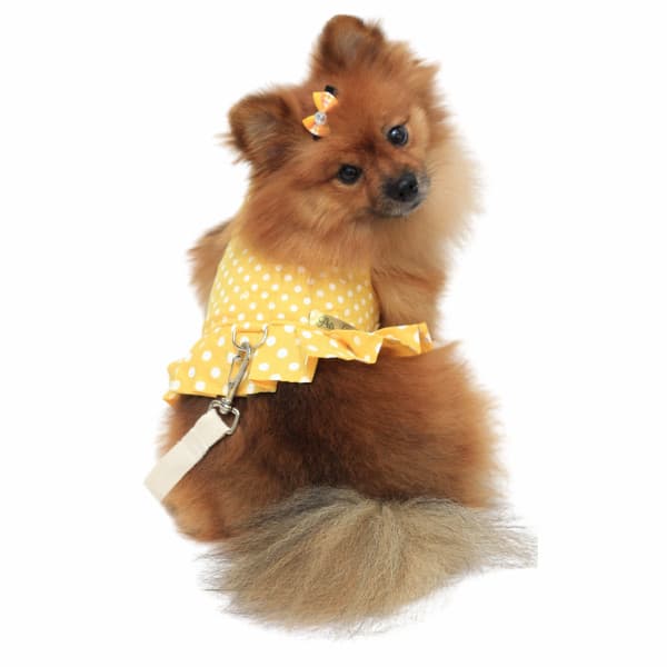 Coleira Peitoral Pet com Guia Poá Amarelo coleira cachorro vestido amarelo poá fofo femea