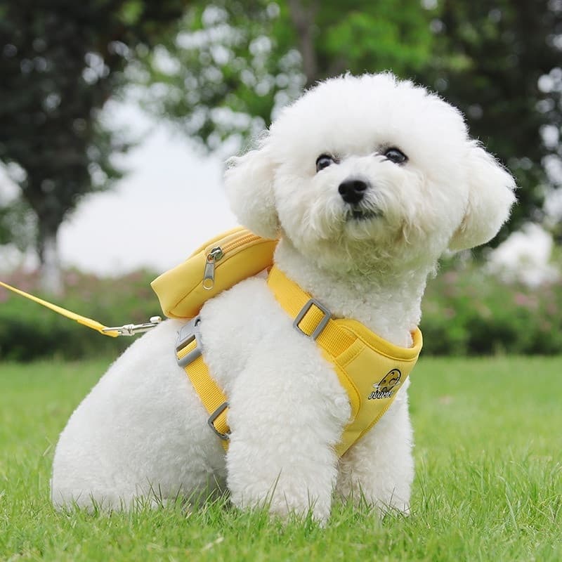 Peitoral Coleira Com Guia e Bolsa Removível Para Cachorro Pet Cães Pequenos E Médios Gato De Viagem-Y12