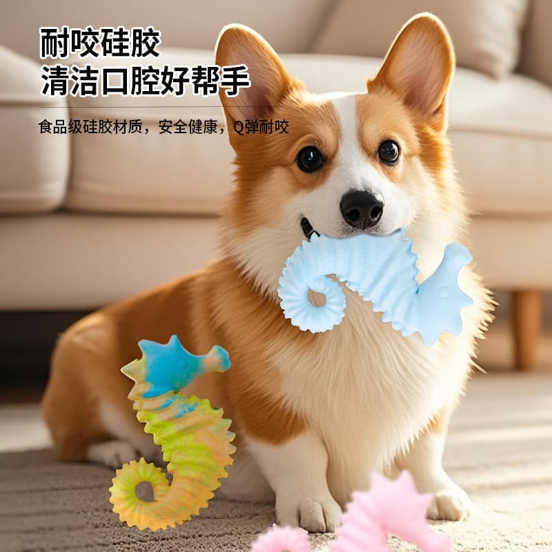 Brinquedos para cães, brinquedos para limpeza de dentes, brinquedos para cachorros, Molar, resistente à mordida, Silicon