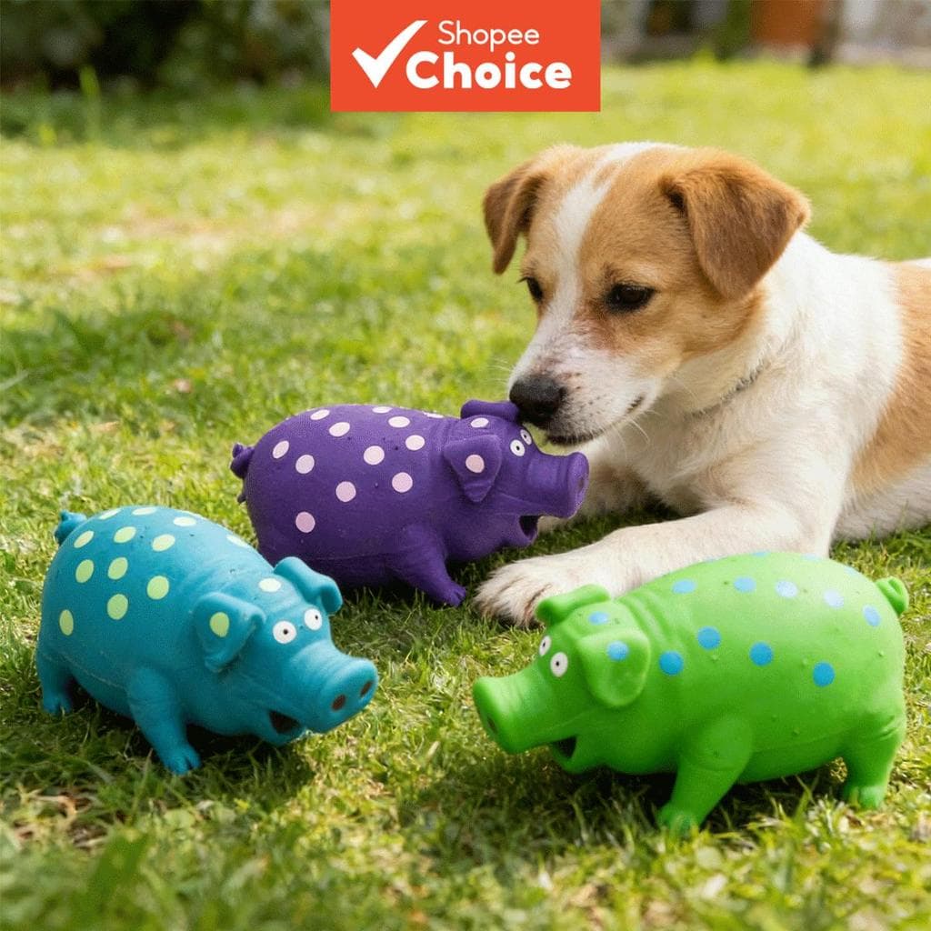 Brinquedo de Látex de Porco com Espinhos para Cachorro – Brinquedo Interativo de Mastigação para Filhotes
