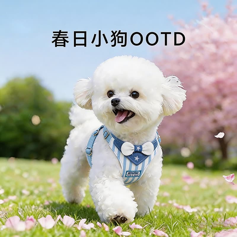 Coleira com guia para cães pequenos, guia tipo colete para animais de estimação de pequeno porte, coleira para cães, col