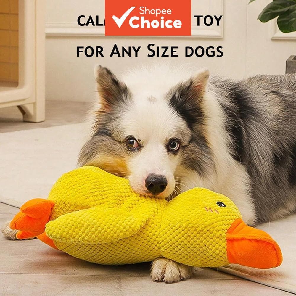  Brinquedo de Pato com Som para Cachorro - Brinquedo Interativo para Mastigar e Brincar, Seguro e Durável