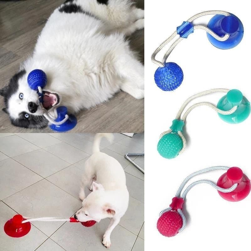Brinquedos Para Cães Ventosa Interativa Empurrar TPR Bola Pet Filhote De Cachorro Molar Mordida Brinquedo Cordas Elástic