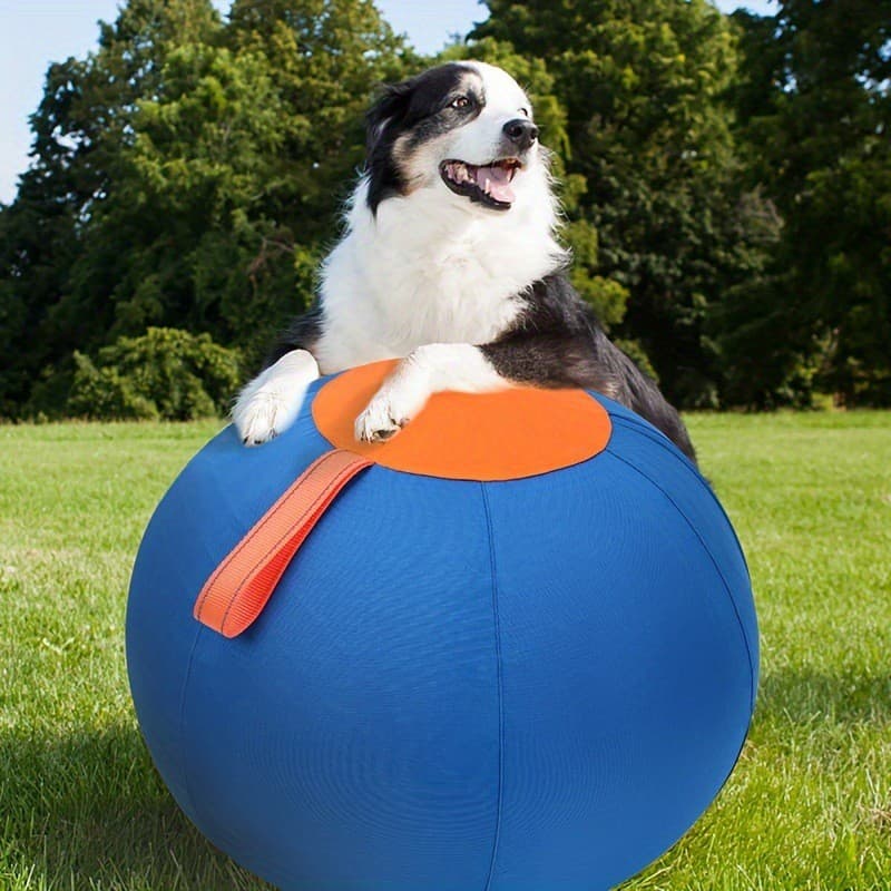 Brinquedo de bola gigante para cachorro, conjunto completo de bola para cachorro, bola Polo para animais de estimação, +