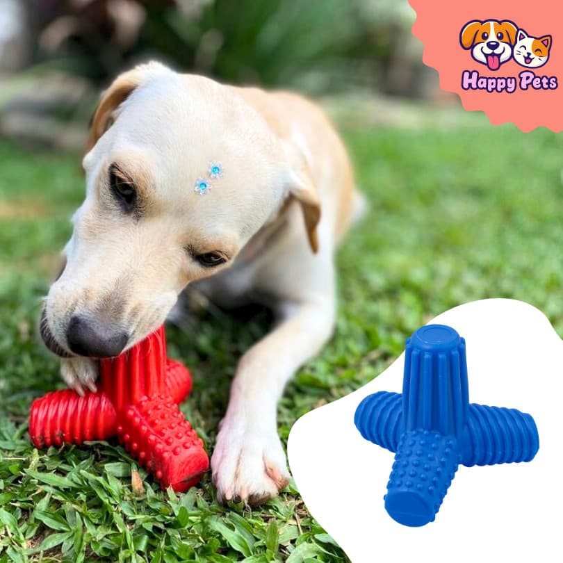 Mordedor Em Nylon Da Pet Games 4Dogs Super Resistente Brinquedo Seguro Cão Durável Cachorro