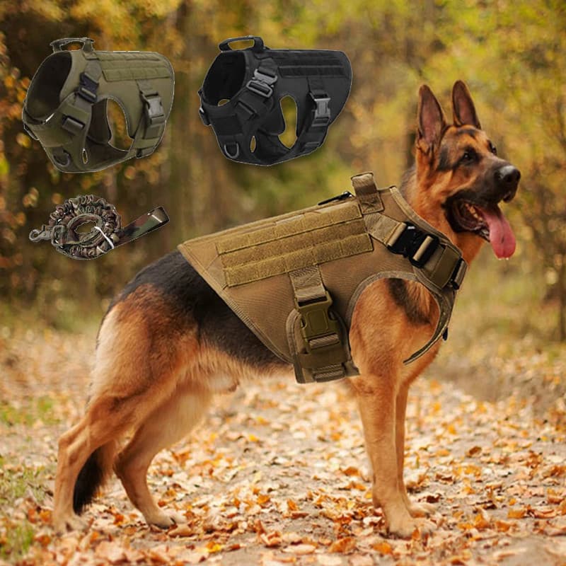 Colete Militar Peitoral Tático Coleira e Guia Reforçados para Cães de Porte Médio e Grande