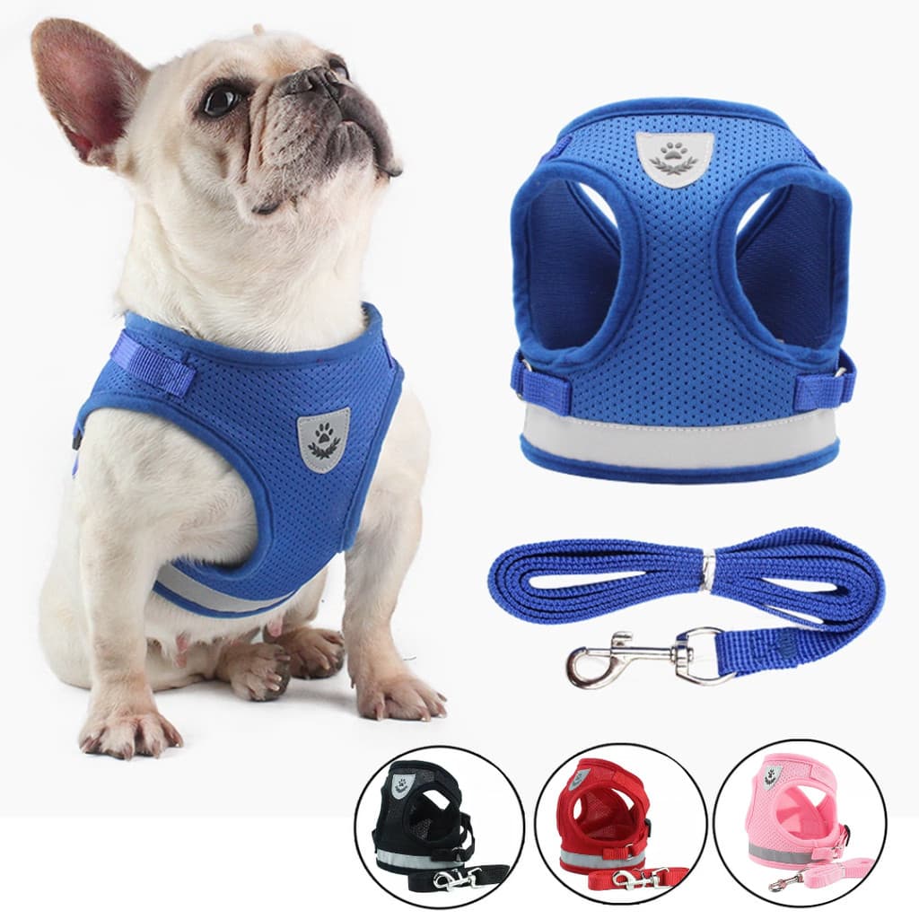 Peitoral Coleira + Guia para Cachorro Caes E Gatos Colete Regulavel Confortavel para Pet Pequeno
