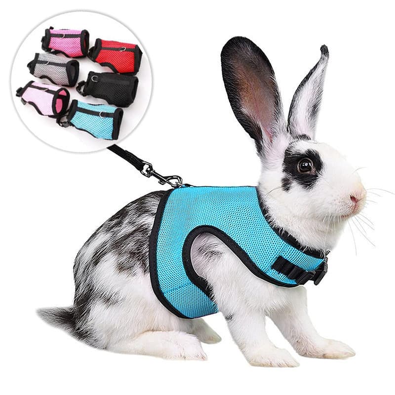 Conjunto de Coleira e Guia de Malha Respirável para Furões, Coelhos e Hamsters, para Passeios de Verão, Coleira de Malha