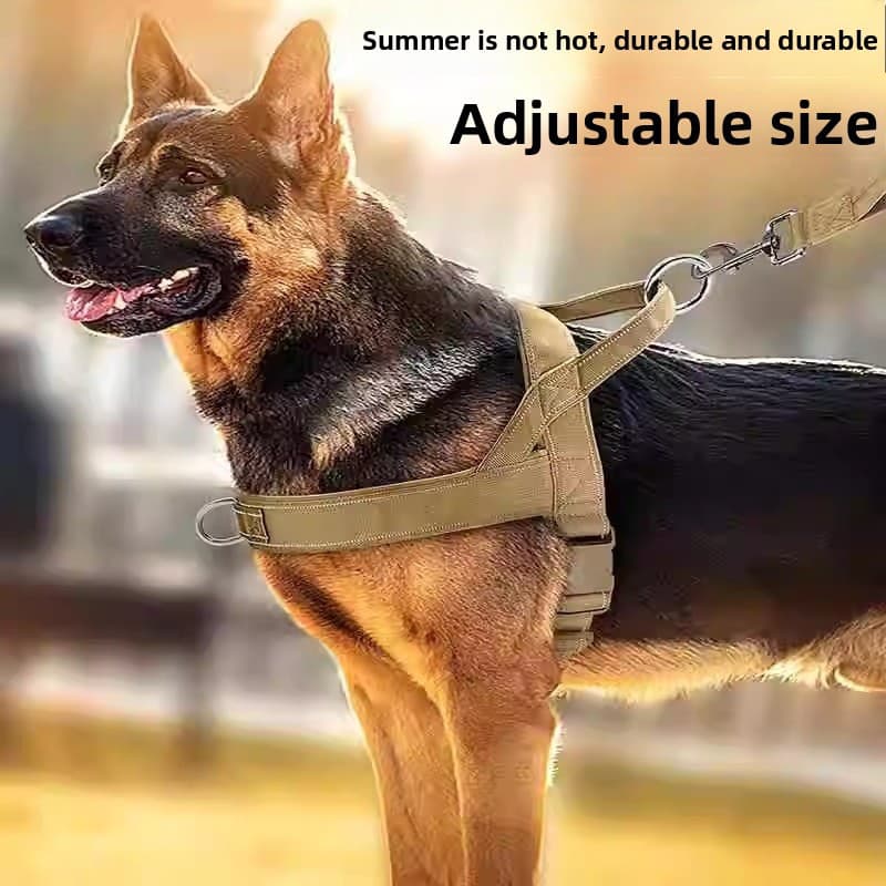 Nova Coleira Tática para Cães em Nylon, Coleira para Cães de Médio e Grande Porte, Coleira e Guia para Cães, Coleira par
